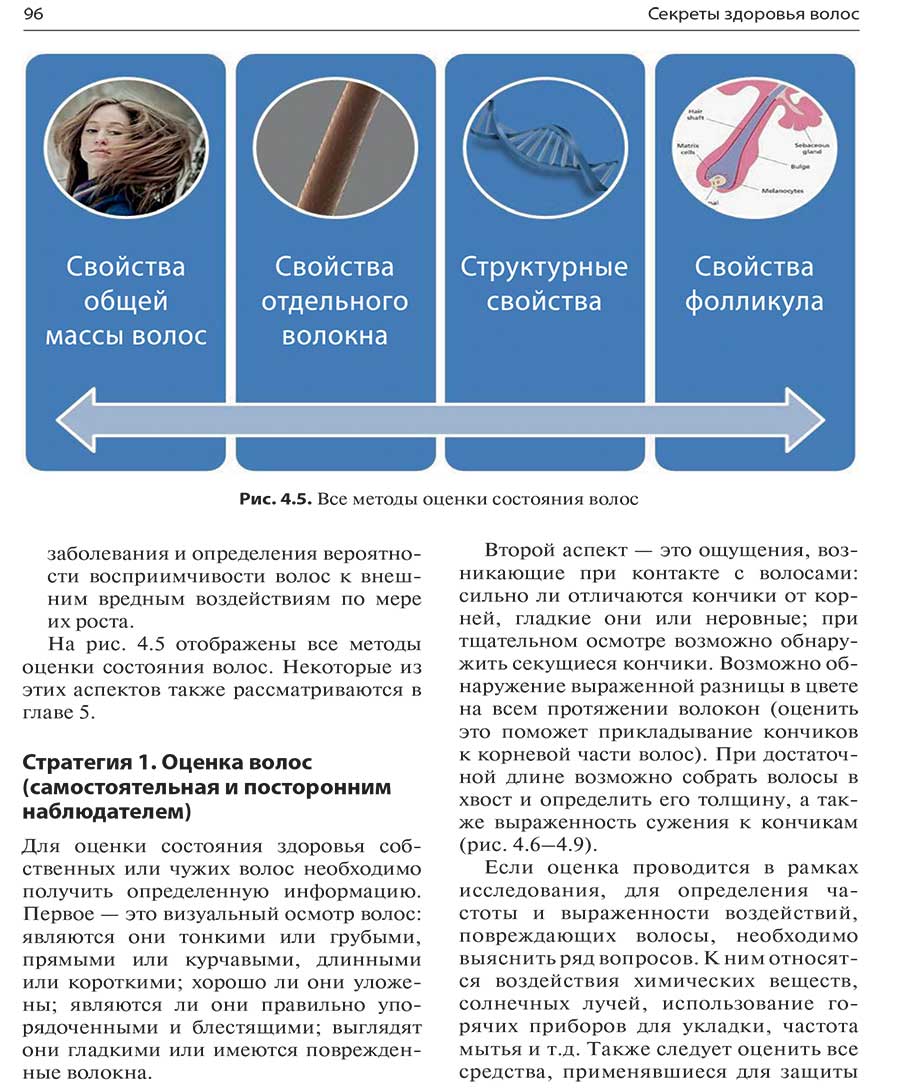 Рис. 4.5. Все методы оценки состояния волос Рис. 4.5. Все методы оценки состояния волос