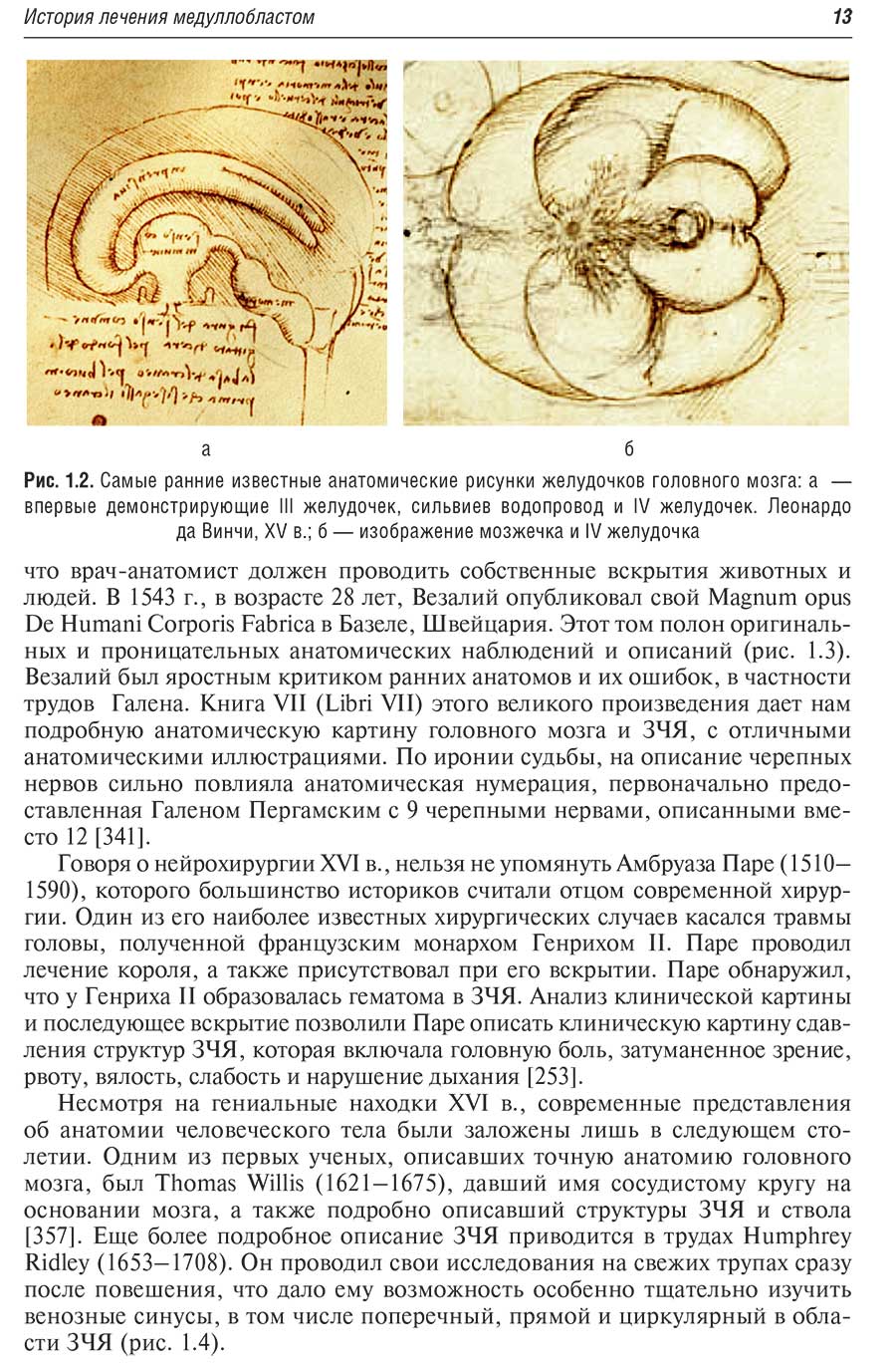Самые ранние известные анатомические рисунки желудочков головного мозга