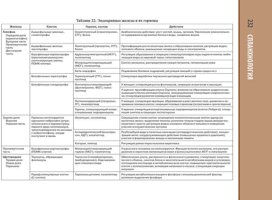Таблица 22. Эндокринные железы и их гормоны