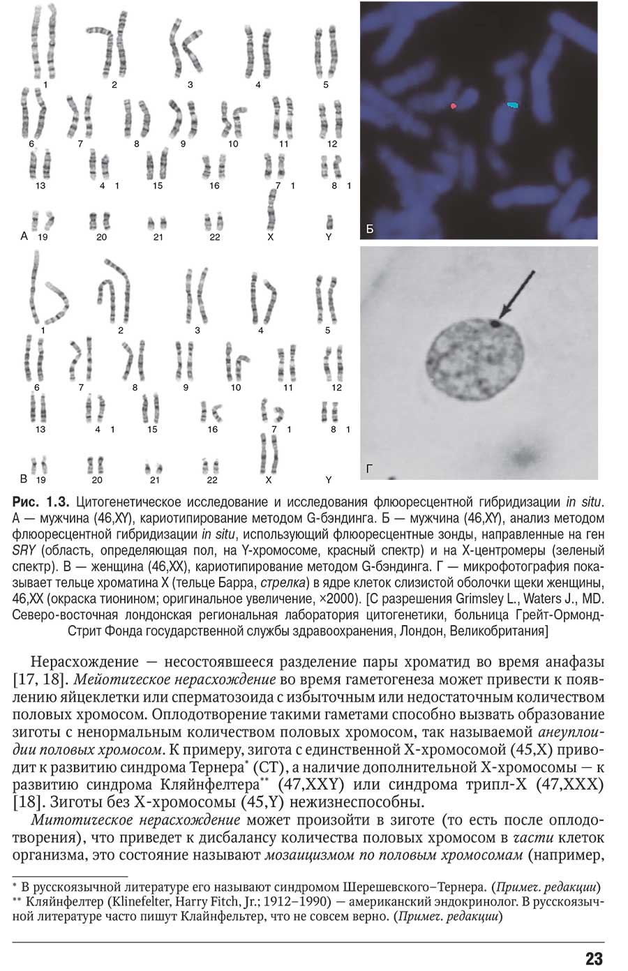 Рис. 1.3. Цитогенетическое исследование и исследования флюоресцентной гибридизации