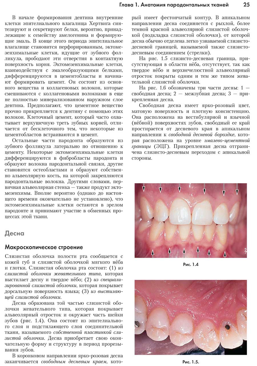 Пример страницы из книги "Клиническая пародонтология и дентальная имплантация" В 2-х томах. Том 1 