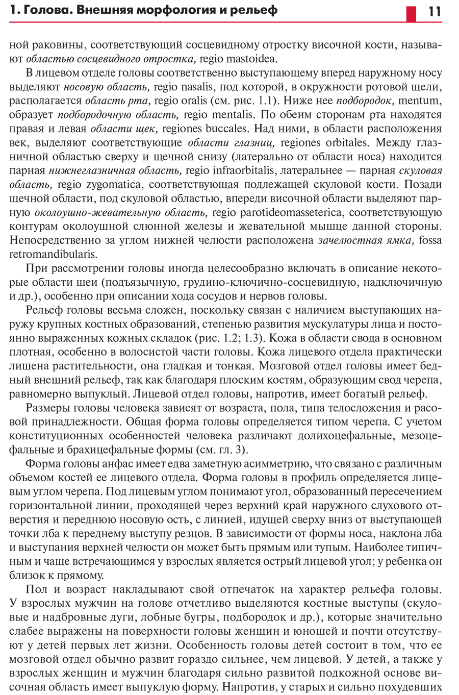 Пример страницы из книги "Анатомия головы (с нейроанатомией). Руководство"