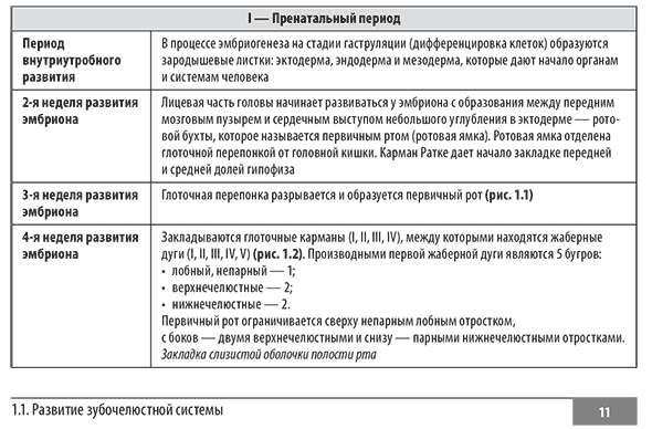 Пренатальный период