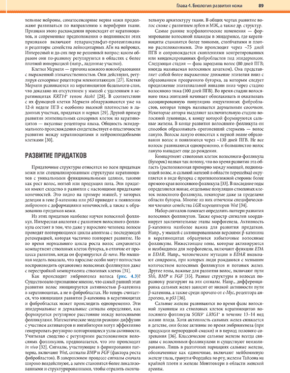 Пример страницы из книги "Дерматология по Фицпатрику". Том 1. - С. Кан, М. Амагаи, А. Л. Брукнер, А. Х. Энк, Д. Дж. Марголис, Э. Дж. МакМайкл, Дж. С. Оррингер Пример страницы из книги "Дерматология по Фицпатрику". Том 1. - С. Кан, М. Амагаи, А. Л. Брукнер, А. Х. Энк, Д. Дж. Марголис, Э. Дж. МакМайкл, Дж. С. Оррингер