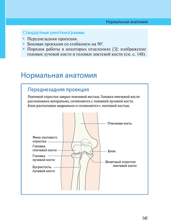 Нормальная анатомия