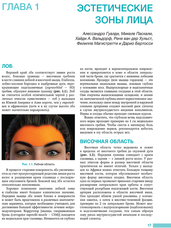 Лоб Лоб