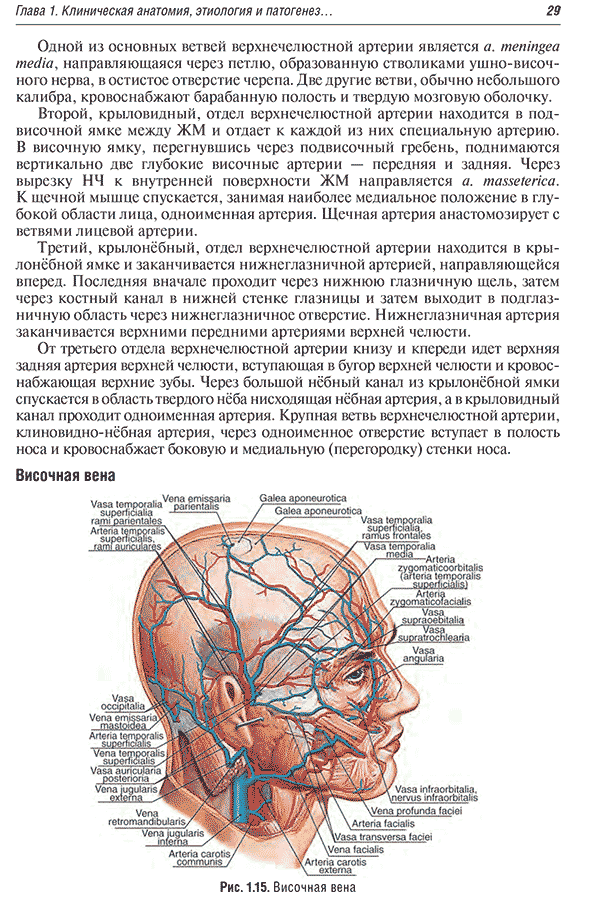 Височная вена