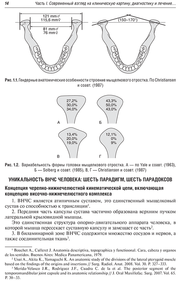 . Гендерные анатомические особенности строение мыщелкового отростка.