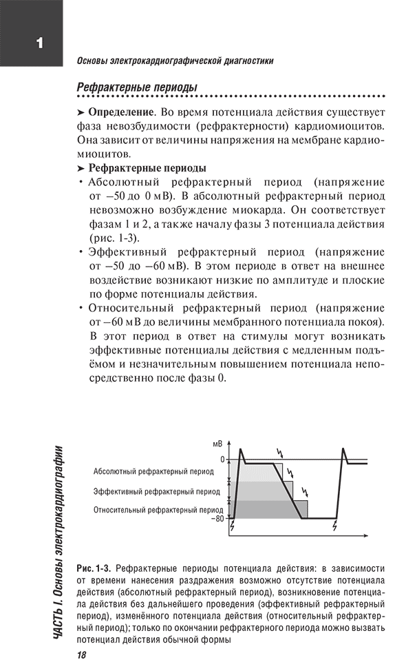 Рефрактерные периоды потенциала действия
