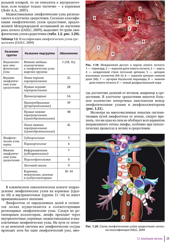 Схема лимфатических у шов средостения согласно классификации
