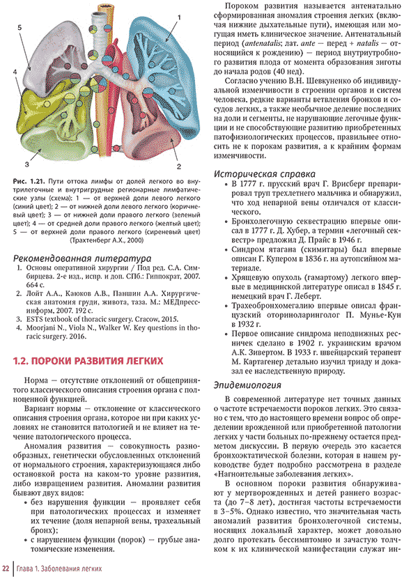 Рис. 1.21. Пути оттока лимфы от долей легкого во внутрилегочные и внутригрудные регионарные лимфатические узлы (схема): 1 &mdash; от верхней доли левого легкого