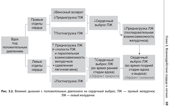 Влияние дыхания с положительным давлением на сердечный выброс. ПЖ — правый желудочек; ЛЖ — левый желудочек Влияние дыхания с положительным давлением на сердечный выброс. ПЖ — правый желудочек; ЛЖ — левый желудочек