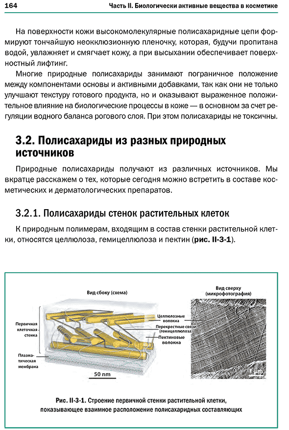 Строение первичной стенки растительной клетки, показывающее взаимное расположение полисахаридных составляющих