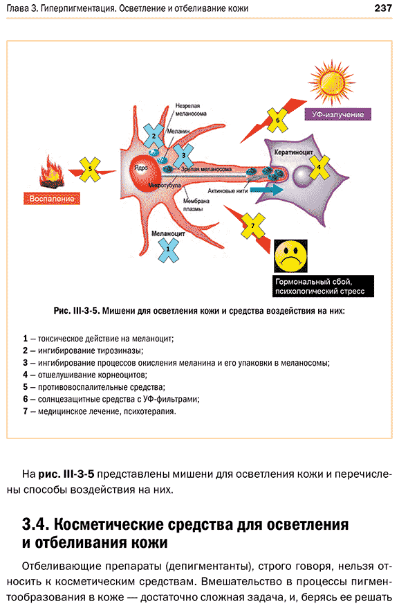 Мишени для осветления кожи и средства воздействия на них: