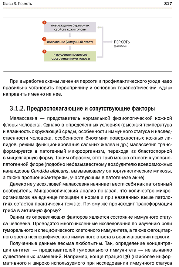 При выработке схемы лечения перхоти и профилактического ухода 