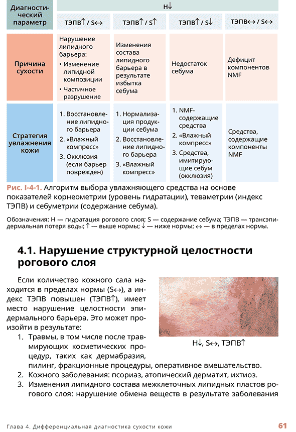 Нарушение структурной целостности рогового слоя
