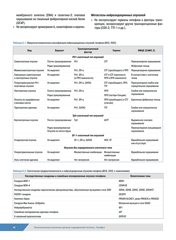 Патологическая анатомия органов эндокринной системы Патологическая анатомия органов эндокринной системы