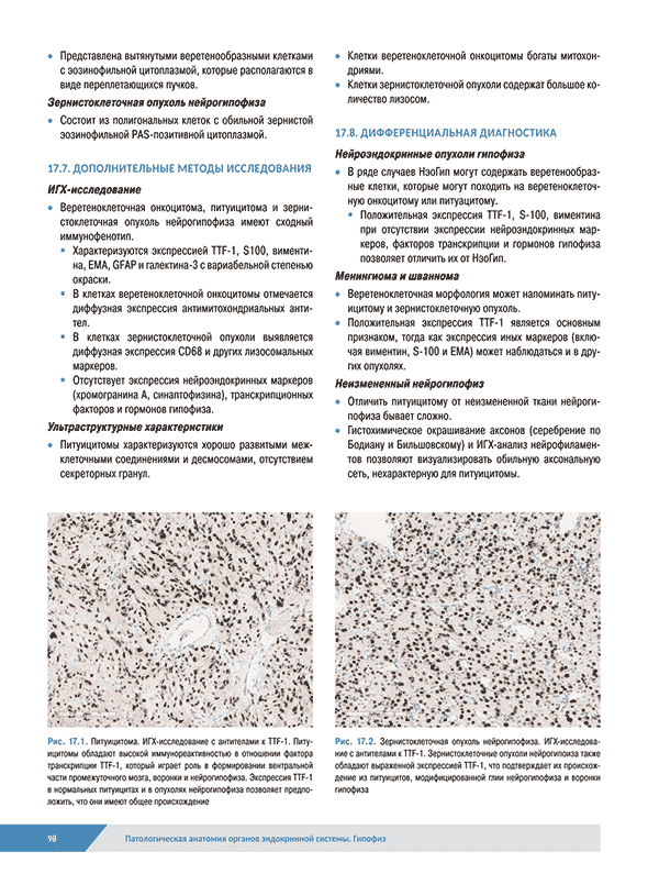 Патологическая анатомия органов эндокринной системы Патологическая анатомия органов эндокринной системы