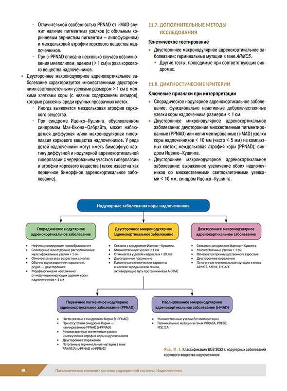 Нодулярные заболевания коры надпочечников Нодулярные заболевания коры надпочечников