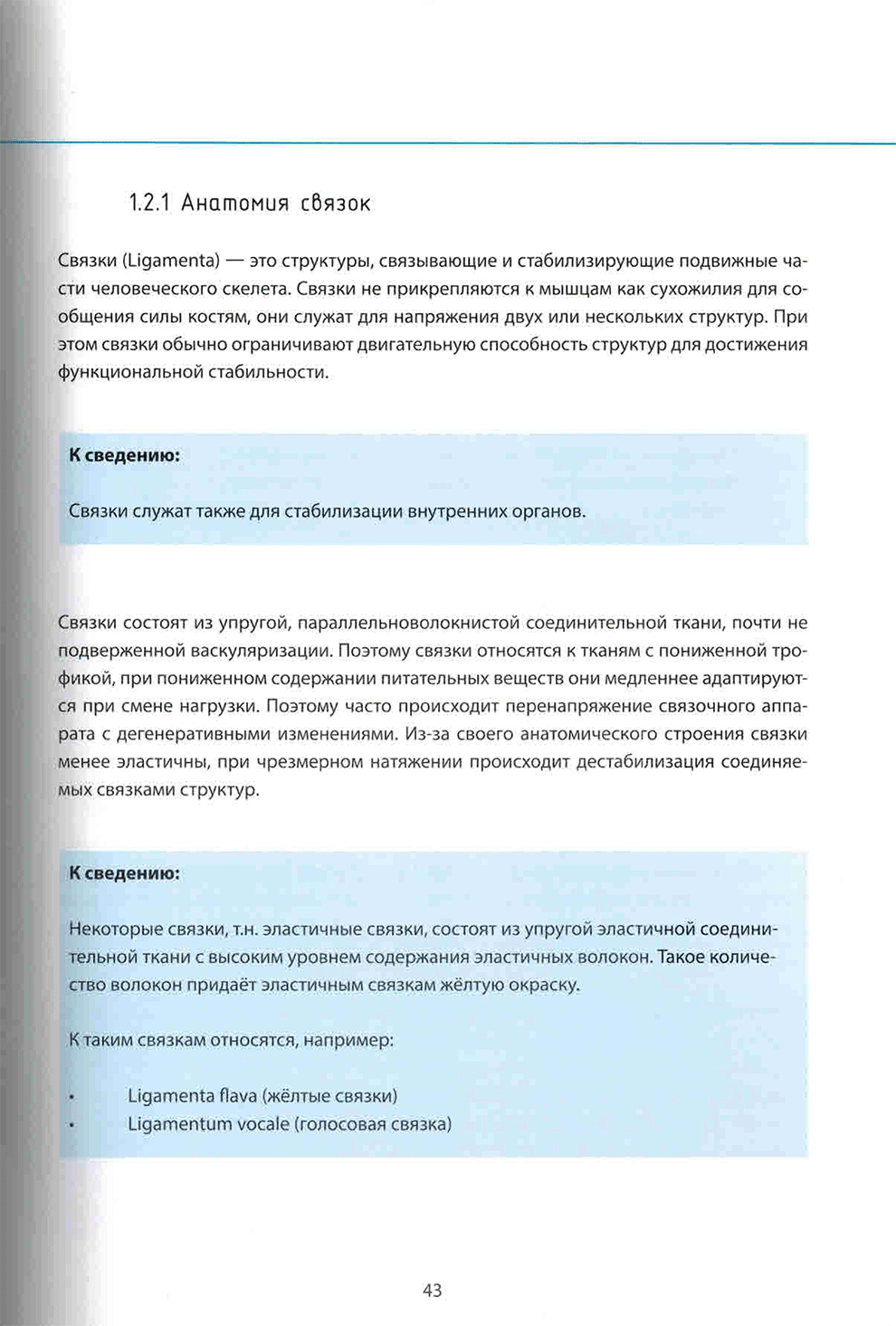 Пример страниц из книги "Понять стопу. Учебное пособие" - Йорг Хальфманн