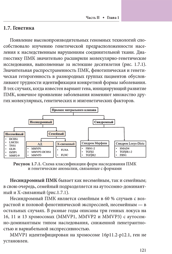 Рисунок 1.7.1. Схема классификации форм наследования IIMK и генетические аномалии, связанные с формами