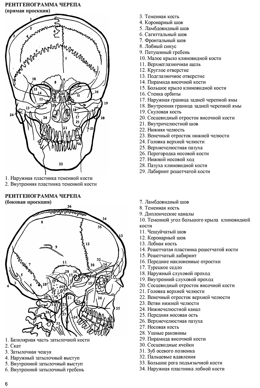 Рентгенограмма черепа