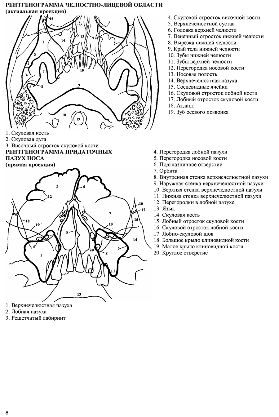 Рентгенограмма челюстно-лицевой области