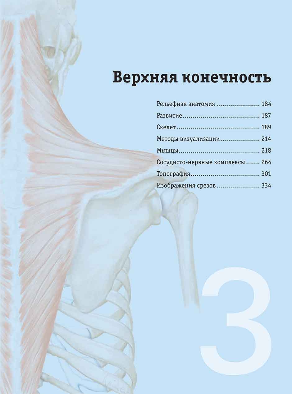 Пример станицы из книги "Sobotta. Атлас анатомии человека" - Ф. Паульсена, Й. Вашке