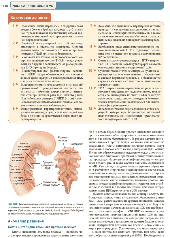 Эмбриологическое развитие щитовидной железы — раннее развитие срединного зачатка щитовидной железы Эмбриологическое развитие щитовидной железы — раннее развитие срединного зачатка щитовидной железы