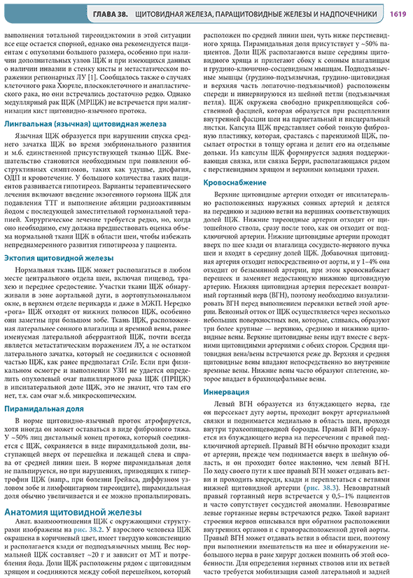 Пример страницы из книги "Хирургия по Шварцу в 3-х томах" - Ф. Ч. Бруникарди Пример страницы из книги "Хирургия по Шварцу в 3-х томах" - Ф. Ч. Бруникарди