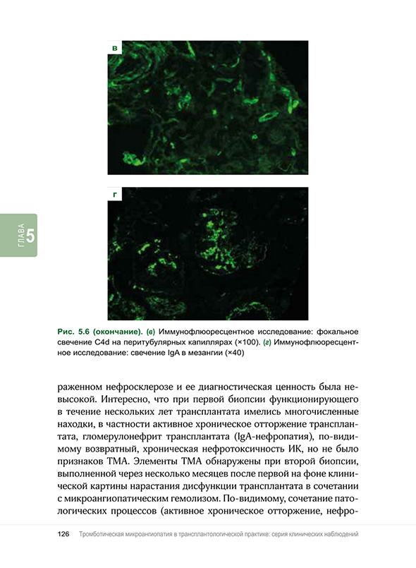 Иммунофлюоресцентное исследование