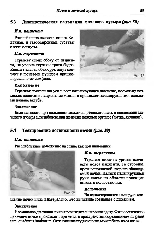Тестирование подвижности почки