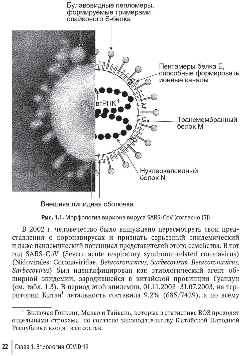 Рис. 1.1. Морфология вириона вируса SARS-CoV