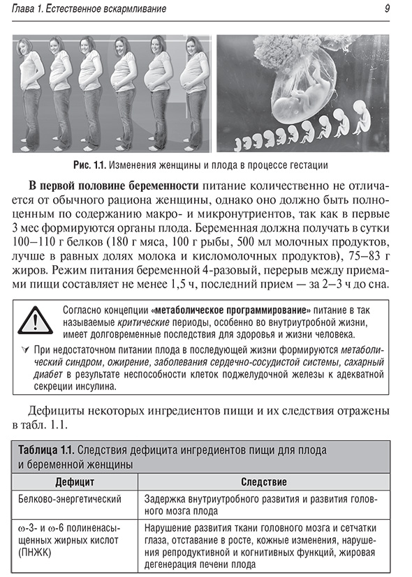 Дефициты некоторых ингредиентов пиши и их следствия отражены в табл. 1.1.