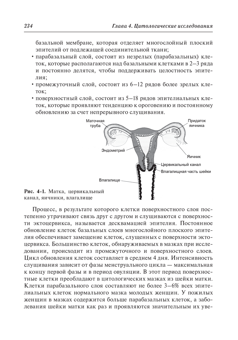 Рис. 4-1. Матка, цервикальный канал, яичники, влагалище