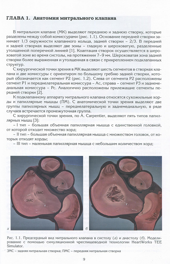 Предсердный вид митрального клапана в систолу