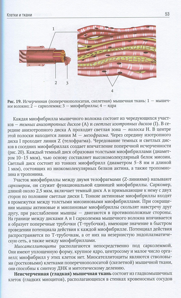 Исчерченная