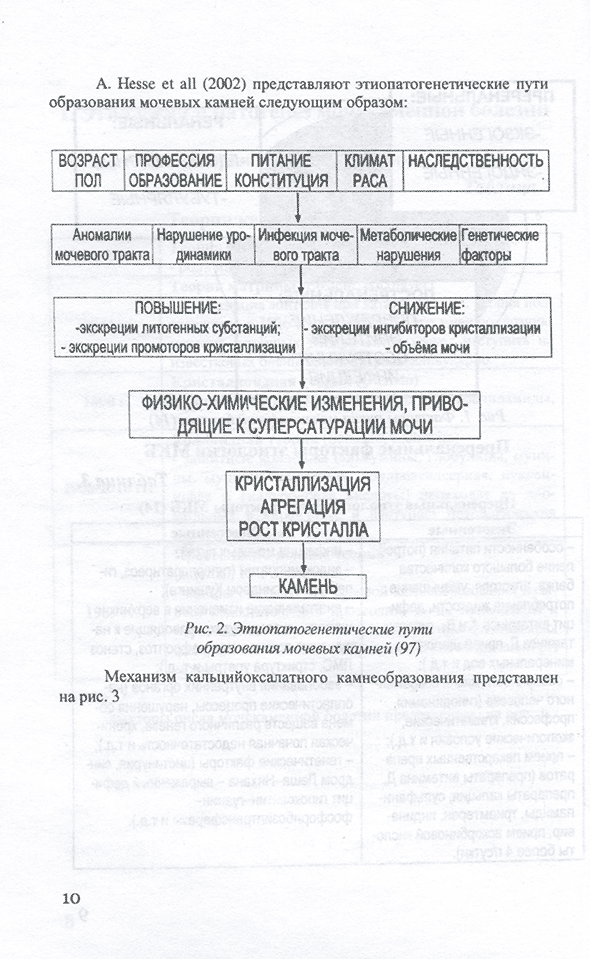 Этиопатогенетические пути образования мочевых камней 