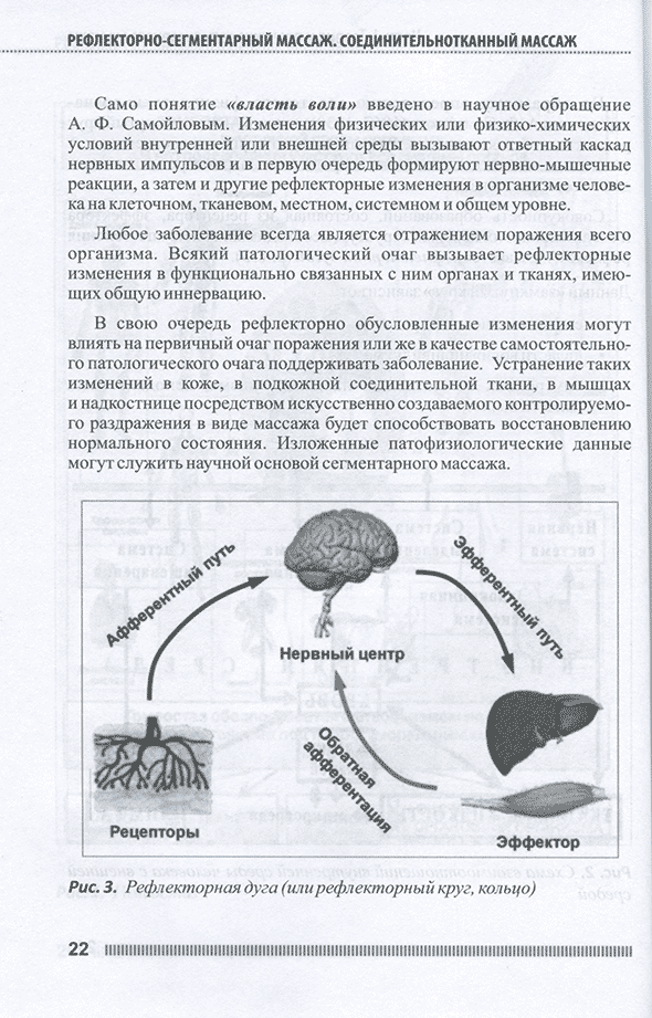 Рефлекторная дуга Рефлекторная дуга