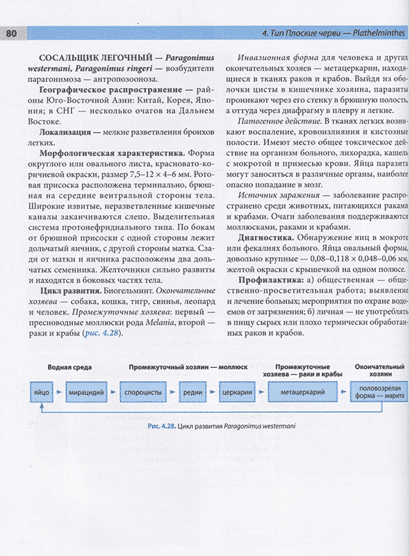 Пример страницы из книги "Атлас по медицинской паразитологии: Учебное пособие" - Чебышев Н. В., Далин М. В., Гузикова Г. С., Ларина С. Н., Сахарова Т. В., Беречикидзе И. А. Пример страницы из книги "Атлас по медицинской паразитологии: Учебное пособие" - Чебышев Н. В., Далин М. В., Гузикова Г. С., Ларина С. Н., Сахарова Т. В., Беречикидзе И. А.