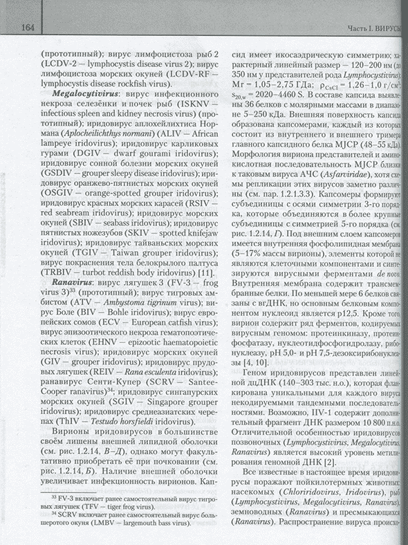 Пример страницы из книги "Руководство по вирусологии: Вирусы и вирусные инфекции человека и животных" - Львов Д. К.
