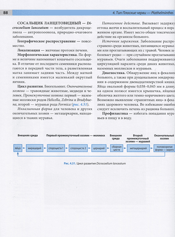 Пример страницы из книги "Атлас по медицинской паразитологии: Учебное пособие" - Чебышев Н. В., Далин М. В., Гузикова Г. С., Ларина С. Н., Сахарова Т. В., Беречикидзе И. А. Пример страницы из книги "Атлас по медицинской паразитологии: Учебное пособие" - Чебышев Н. В., Далин М. В., Гузикова Г. С., Ларина С. Н., Сахарова Т. В., Беречикидзе И. А.