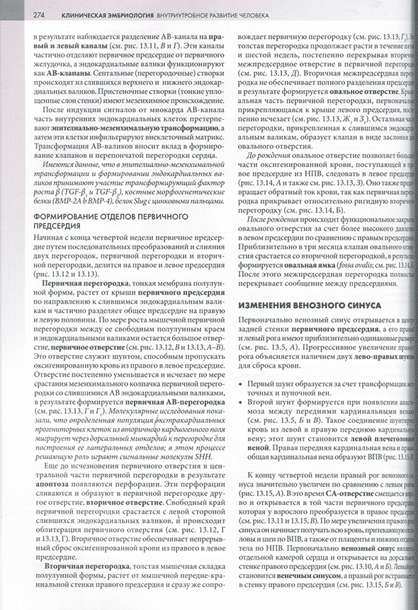 Пример страницы из книги "Клиническая эмбриология" - Кит Л. Мур, Т. В. Н. Персо, Марк Дж. Торкья