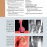 Пример страницы из книги "Лучевая диагностика. Органы брюшной полости" - Федерле М. П., Раман Ш. П.