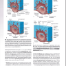 Пример страницы из книги "Клиническая эмбриология" - Кит Л. Мур, Т. В. Н. Персо, Марк Дж. Торкья