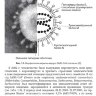 Пример страницы из книги "COVID-19: от этиологии до вакцинопрофилактики. Руководство"  - Бургасова О. А., Никифоров В. В.