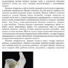 Пример страницы из книги "Особенности проводникового обезболивания при операциях удаления зубов в амбулаторной стоматологии: учебное пособие" - Севбитов А. В.