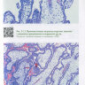 Пример страницы из книги  "Эмбриональные потери. Атлас" - Т. Г. Траль, Г. Х. Толибова, И. Ю. Коган, А. А. Олина