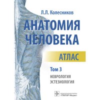 Анатомия человека. Атлас в 3-х томах. Том 3. Неврология, эстезиология - Колесников Л. Л.