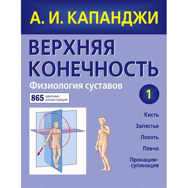 Нижняя конечность: Функциональная анатомия: схемы биомеханики человека с комментариями в 3 томах. Том 1 - Капанджи А. И.